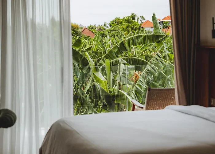 Suom And 4* Canggu